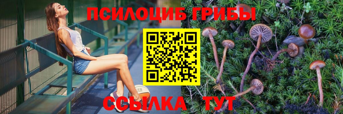 Псилоцибиновые грибы MAGIC MUSHROOMS  Вход с VPN  Котовск 