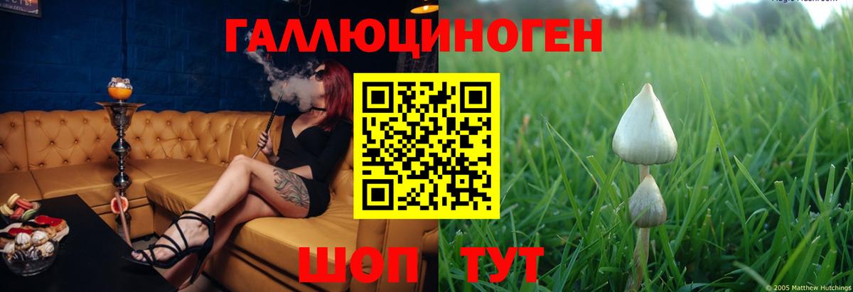 Псилоцибиновые грибы MAGIC MUSHROOMS Котовск